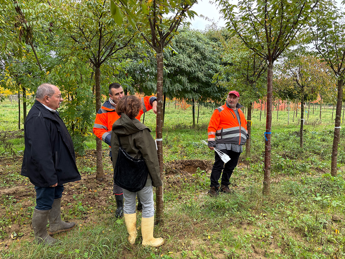 BDP%20pe%CC%81pinie%CC%80re%203